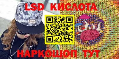 прущие грибы Краснознаменск