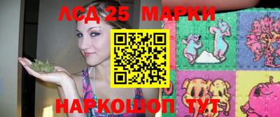 прущие грибы Краснознаменск