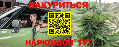 прущие грибы Краснознаменск