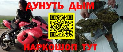 прущие грибы Краснознаменск