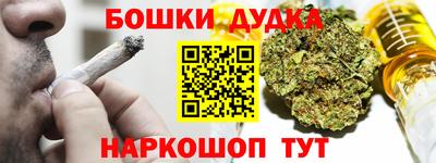 индика Краснокаменск