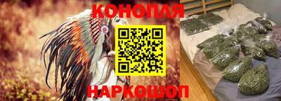 прущие грибы Краснознаменск