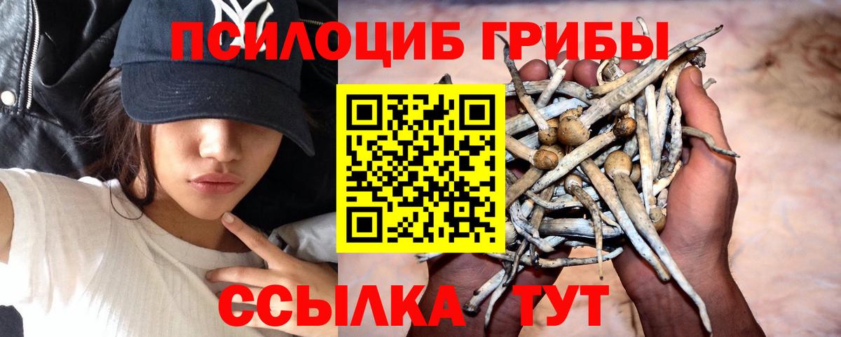 Псилоцибиновые грибы GOLDEN TEACHER Карпинск